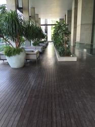 Martin No 38 (D9), Apartment #73472902